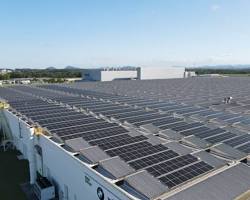 Vários painéis solares instalados numa fábrica.
